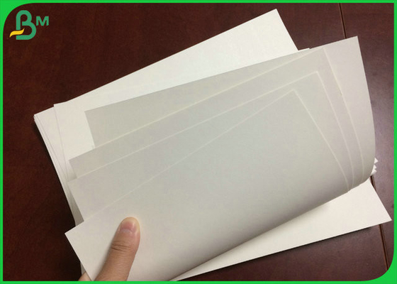 %98 Beyazlık 240gr +18g PE Cupstock Kağıt Rulo Kaplama Kağıt Bardak İçin Mat PE
